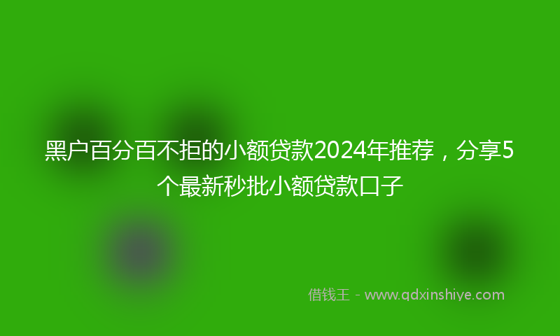 黑户百分百不拒的小额贷款2024年推荐，分享5个最新秒批小额贷款口子