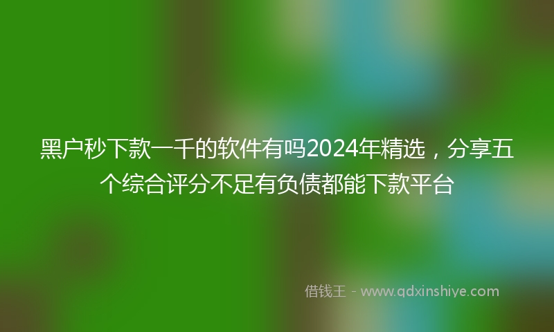 黑户秒下款一千的软件有吗2024年精选，分享五个综合评分不足有负债都能下款平台