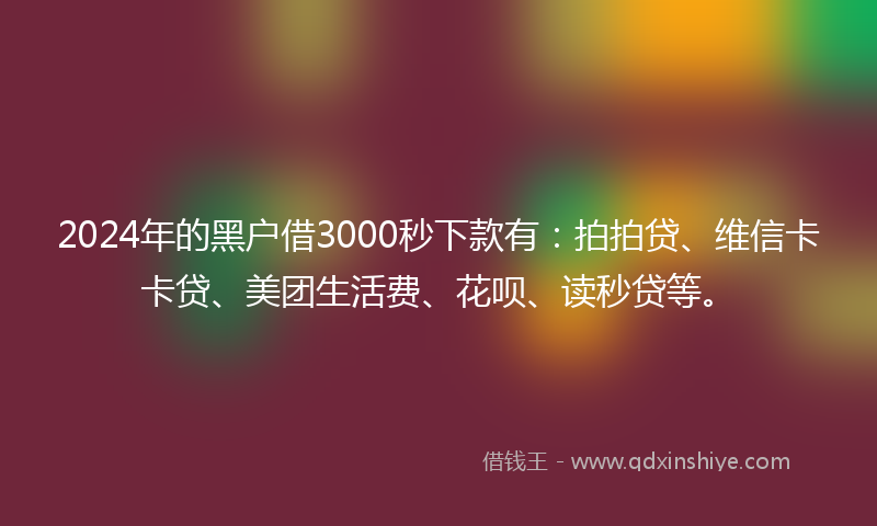 2024年的黑户借3000秒下款有：拍拍贷、维信卡卡贷、美团生活费、花呗、读秒贷等。