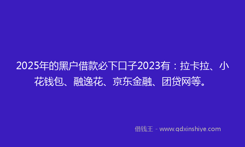 2025年的黑户借款必下口子2023有：拉卡拉、小花钱包、融逸花、京东金融、团贷网等。