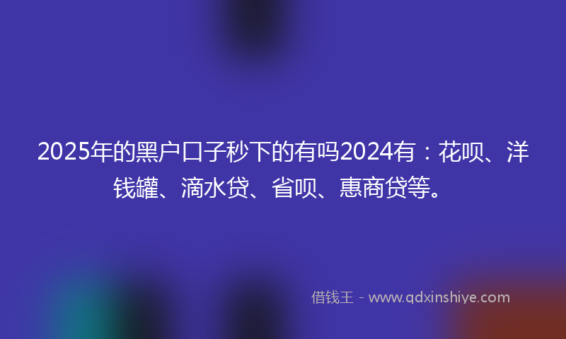 2025年的黑户口子秒下的有吗2024有：花呗、洋钱罐、滴水贷、省呗、惠商贷等。