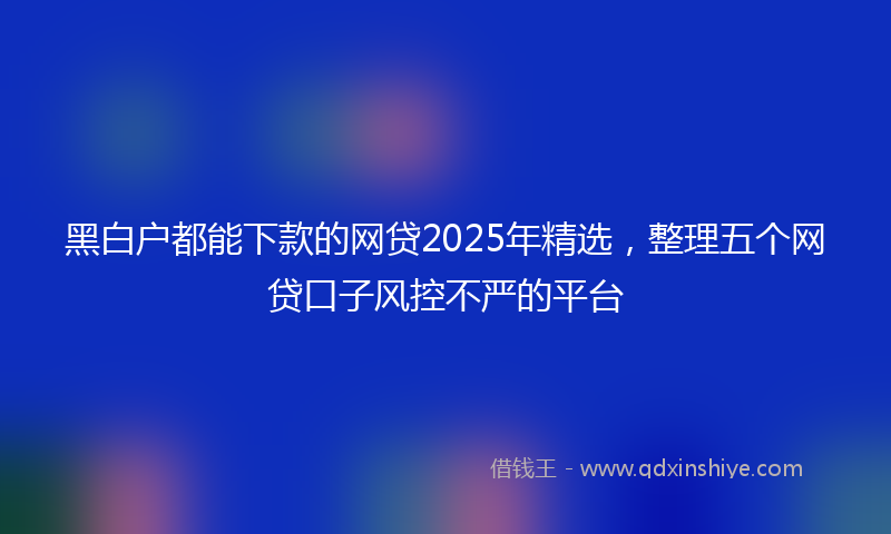 黑白户都能下款的网贷2025年精选，整理五个网贷口子风控不严的平台