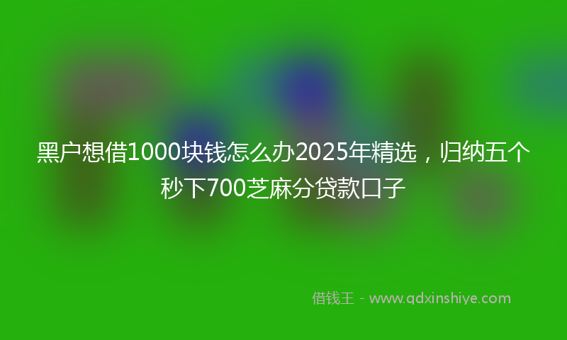 黑户想借1000块钱怎么办2025年精选，归纳五个秒下700芝麻分贷款口子