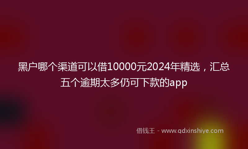 黑户哪个渠道可以借10000元2024年精选，汇总五个逾期太多仍可下款的app