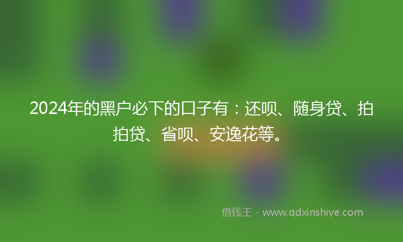 2024年的黑户必下的口子有：还呗、随身贷、拍拍贷、省呗、安逸花等。
