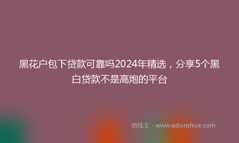 黑花户包下贷款可靠吗2024年精选，分享5个黑白贷款不是高炮的平台