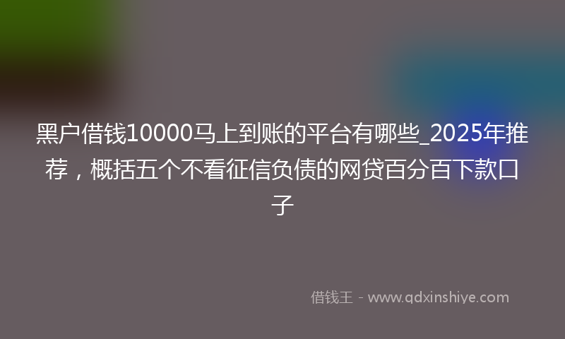 黑户借钱10000马上到账的平台有哪些_2025年推荐，概括五个不看征信负债的网贷百分百下款口子