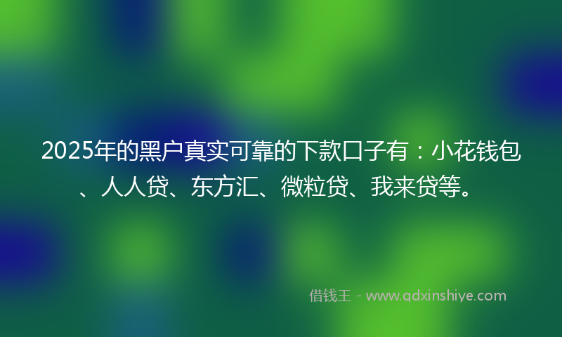 2025年的黑户真实可靠的下款口子有：小花钱包、人人贷、东方汇、微粒贷、我来贷等。