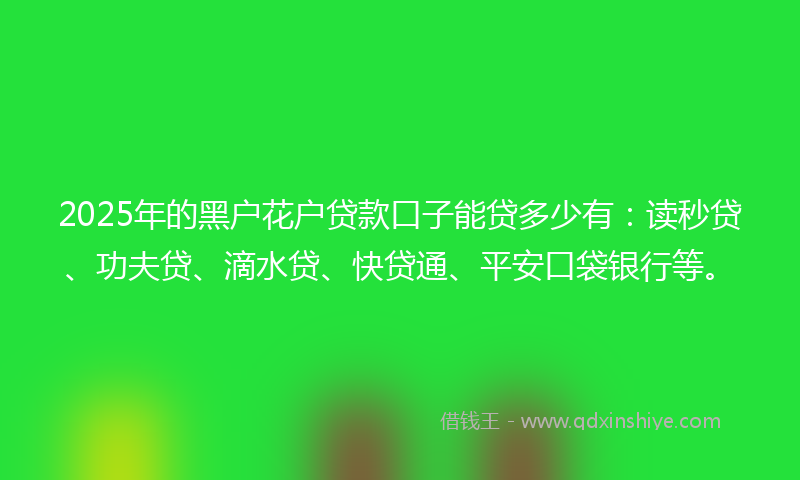 2025年的黑户花户贷款口子能贷多少有：读秒贷、功夫贷、滴水贷、快贷通、平安口袋银行等。
