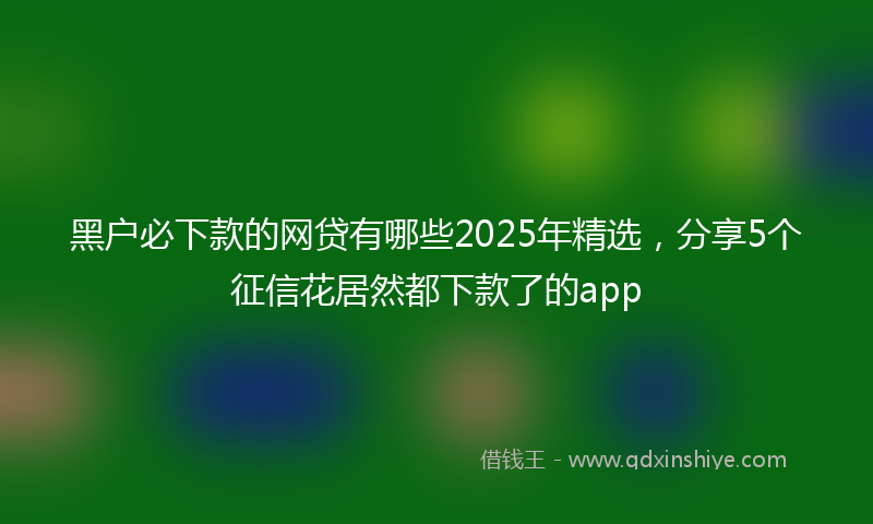 黑户必下款的网贷有哪些2025年精选，分享5个征信花居然都下款了的app