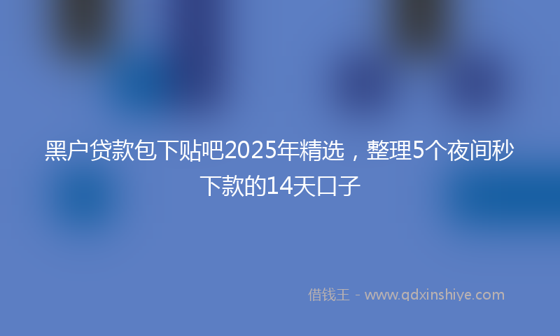 黑户贷款包下贴吧2025年精选，整理5个夜间秒下款的14天口子