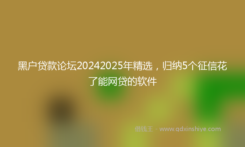 黑户贷款论坛20242025年精选，归纳5个征信花了能网贷的软件