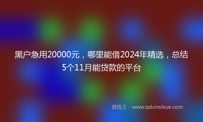黑户急用20000元，哪里能借2024年精选，总结5个11月能贷款的平台