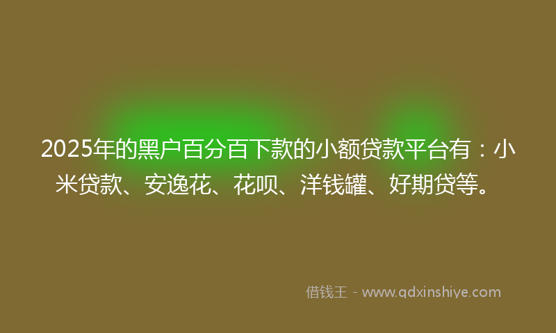 2025年的黑户百分百下款的小额贷款平台有：小米贷款、安逸花、花呗、洋钱罐、好期贷等。