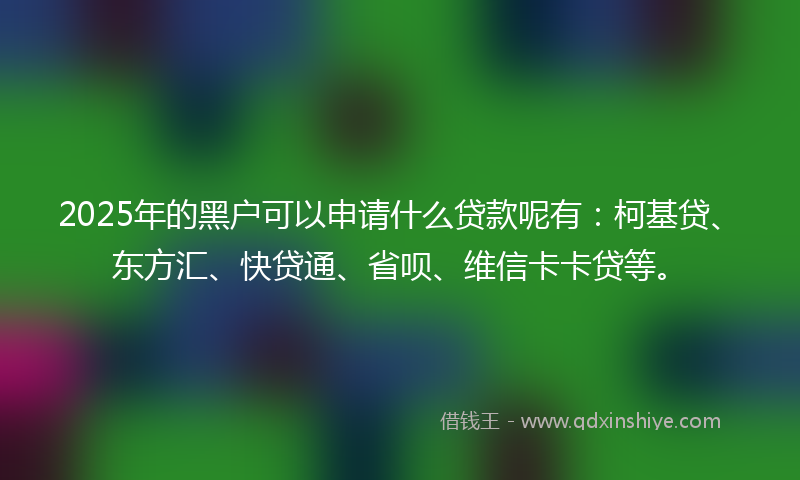 2025年的黑户可以申请什么贷款呢有：柯基贷、东方汇、快贷通、省呗、维信卡卡贷等。