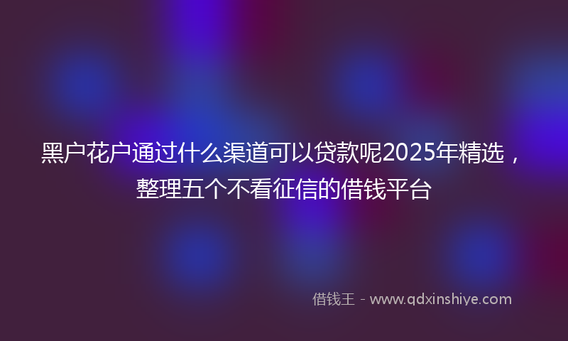 黑户花户通过什么渠道可以贷款呢2025年精选，整理五个不看征信的借钱平台