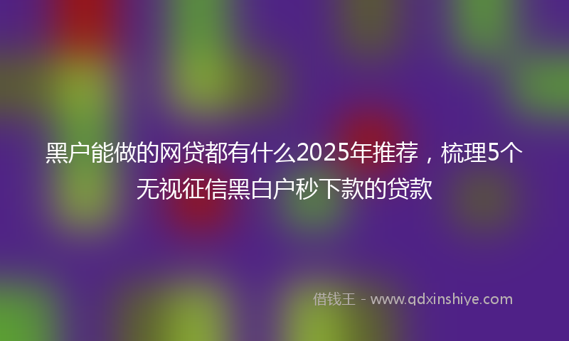 黑户能做的网贷都有什么2025年推荐，梳理5个无视征信黑白户秒下款的贷款