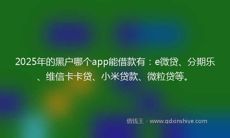 2025年的黑户哪个app能借款有：e微贷、分期乐、维信卡卡贷、小米贷款、微粒贷等。