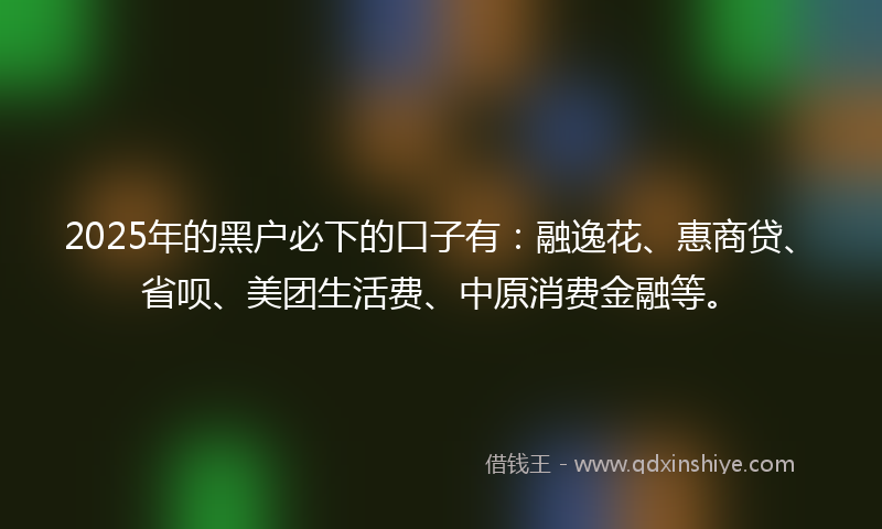 2025年的黑户必下的口子有：融逸花、惠商贷、省呗、美团生活费、中原消费金融等。