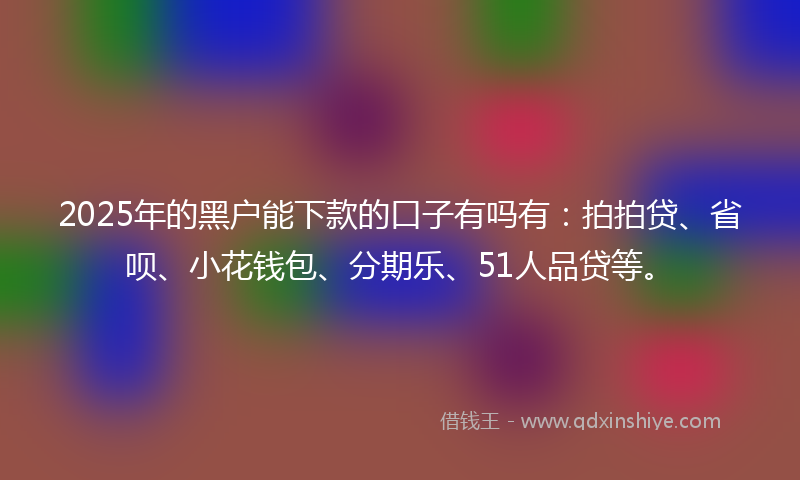 2025年的黑户能下款的口子有吗有：拍拍贷、省呗、小花钱包、分期乐、51人品贷等。