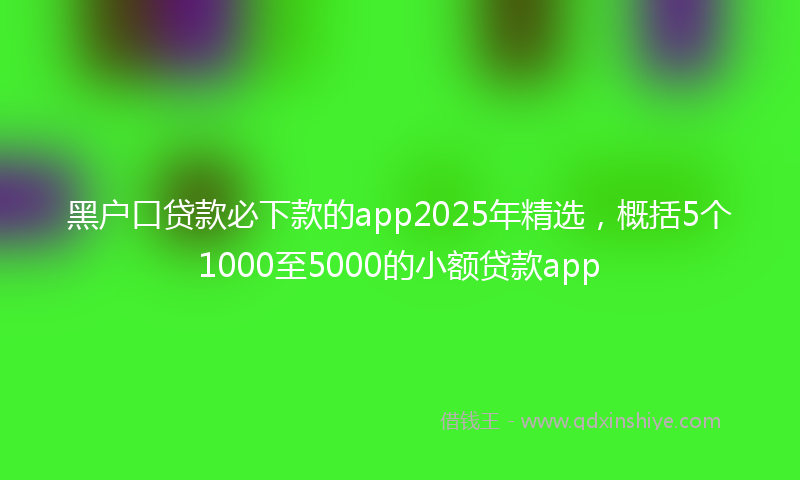 黑户口贷款必下款的app2025年精选，概括5个1000至5000的小额贷款app