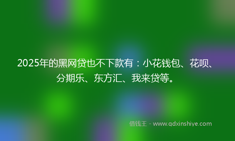 2025年的黑网贷也不下款有：小花钱包、花呗、分期乐、东方汇、我来贷等。