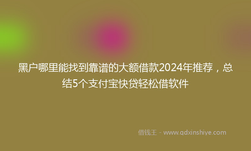 黑户哪里能找到靠谱的大额借款2024年推荐，总结5个支付宝快贷轻松借软件