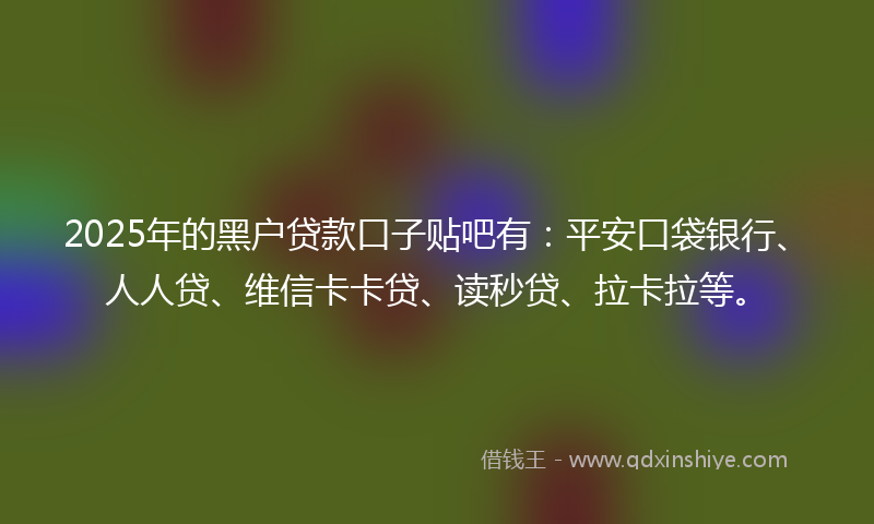 2025年的黑户贷款口子贴吧有：平安口袋银行、人人贷、维信卡卡贷、读秒贷、拉卡拉等。