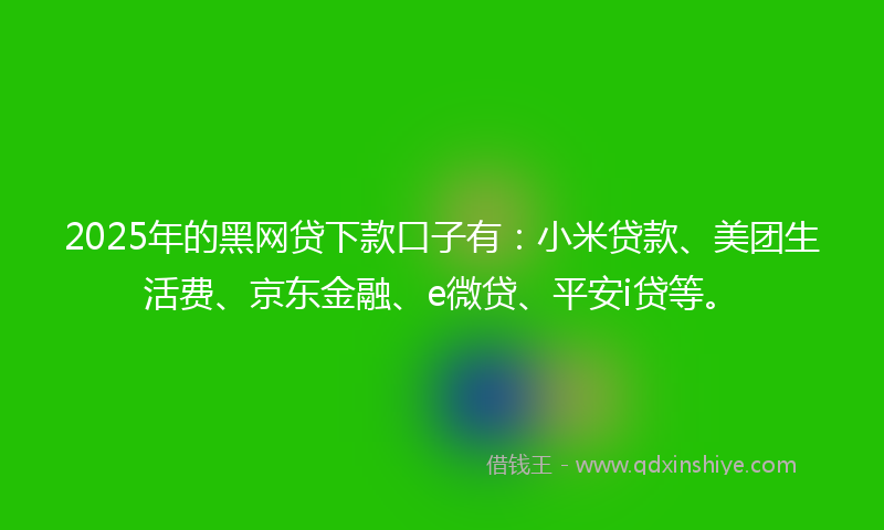 2025年的黑网贷下款口子有：小米贷款、美团生活费、京东金融、e微贷、平安i贷等。