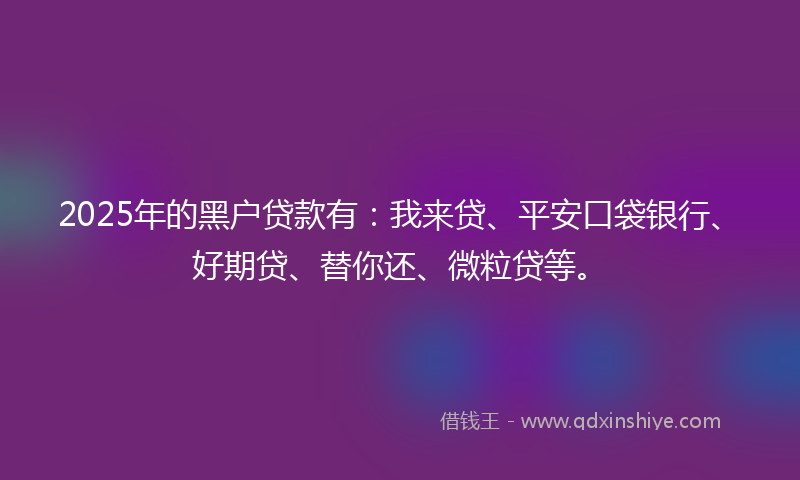 2025年的黑户贷款有：我来贷、平安口袋银行、好期贷、替你还、微粒贷等。