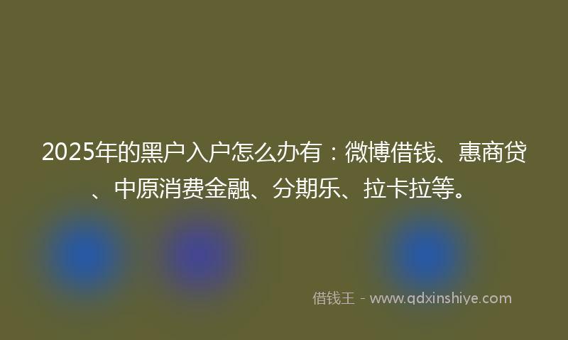 2025年的黑户入户怎么办有：微博借钱、惠商贷、中原消费金融、分期乐、拉卡拉等。