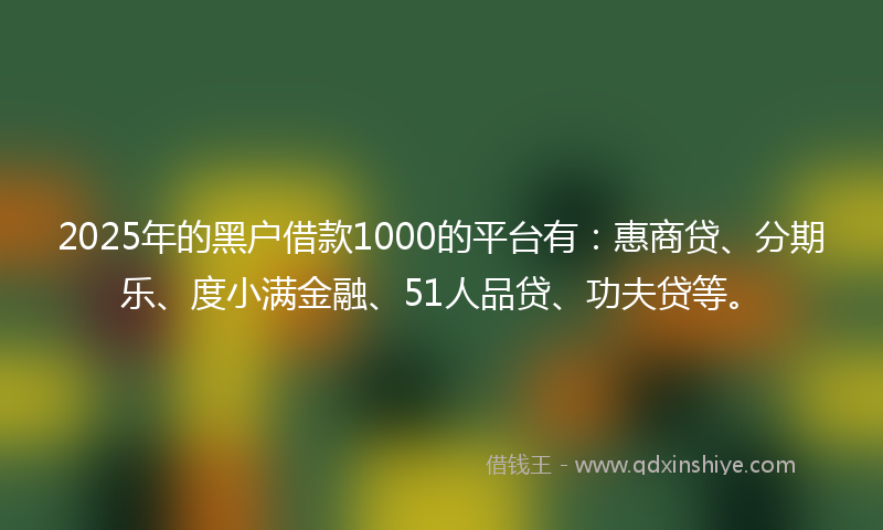 2025年的黑户借款1000的平台有：惠商贷、分期乐、度小满金融、51人品贷、功夫贷等。