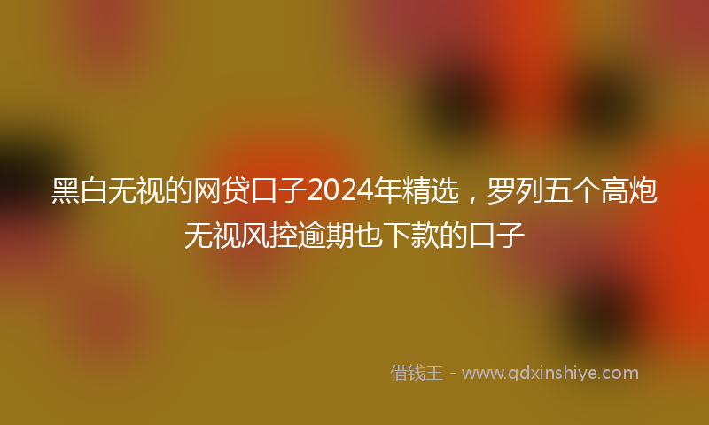 黑白无视的网贷口子2024年精选，罗列五个高炮无视风控逾期也下款的口子