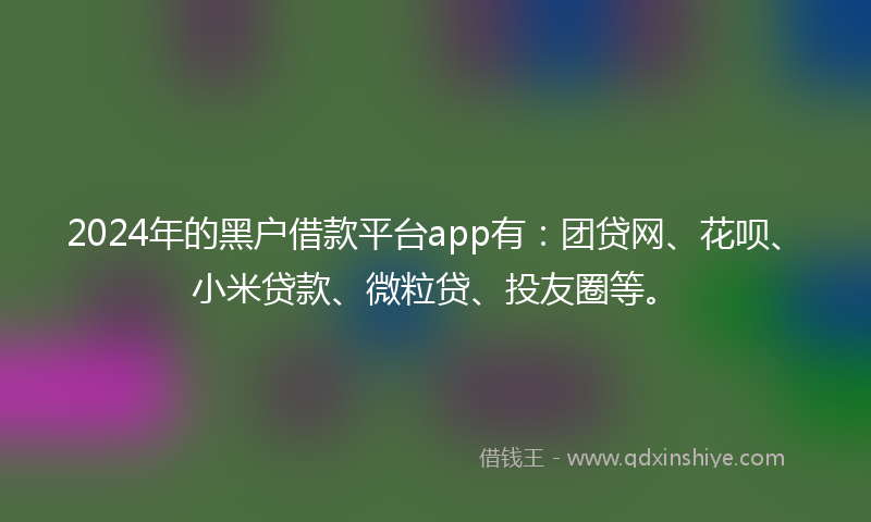 2024年的黑户借款平台app有：团贷网、花呗、小米贷款、微粒贷、投友圈等。