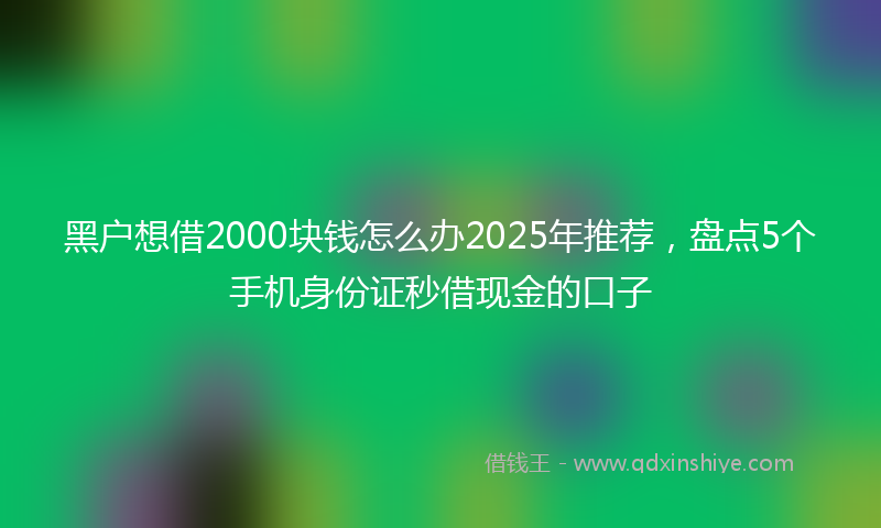 黑户想借2000块钱怎么办2025年推荐，盘点5个手机身份证秒借现金的口子