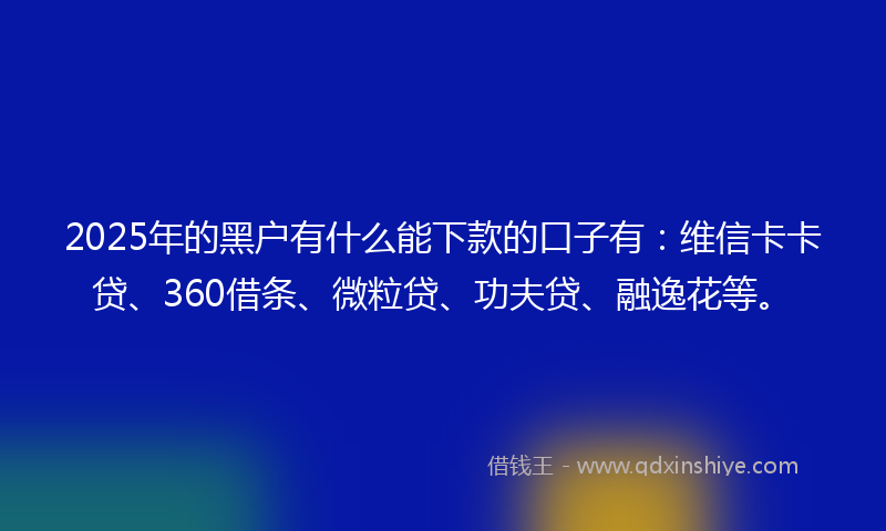 2025年的黑户有什么能下款的口子有：维信卡卡贷、360借条、微粒贷、功夫贷、融逸花等。