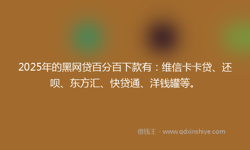 2025年的黑网贷百分百下款有：维信卡卡贷、还呗、东方汇、快贷通、洋钱罐等。