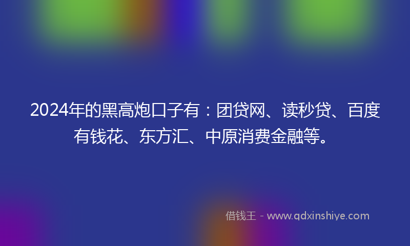 2024年的黑高炮口子有：团贷网、读秒贷、百度有钱花、东方汇、中原消费金融等。