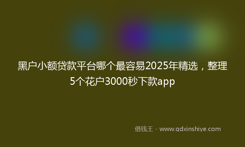 黑户小额贷款平台哪个最容易2025年精选，整理5个花户3000秒下款app