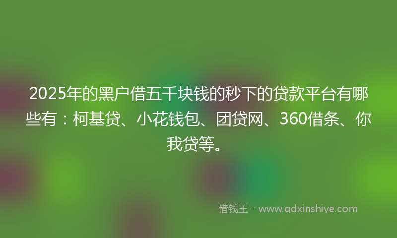 2025年的黑户借五千块钱的秒下的贷款平台有哪些有：柯基贷、小花钱包、团贷网、360借条、你我贷等。