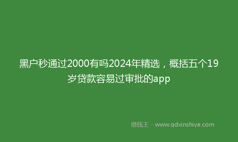 黑户秒通过2000有吗2024年精选，概括五个19岁贷款容易过审批的app