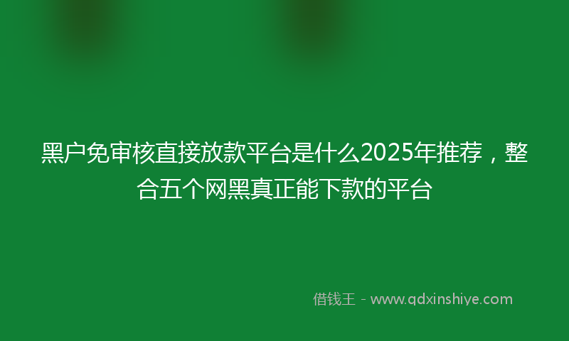 黑户免审核直接放款平台是什么2025年推荐，整合五个网黑真正能下款的平台