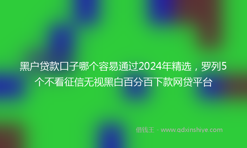黑户贷款口子哪个容易通过2024年精选，罗列5个不看征信无视黑白百分百下款网贷平台