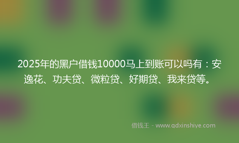 2025年的黑户借钱10000马上到账可以吗有：安逸花、功夫贷、微粒贷、好期贷、我来贷等。