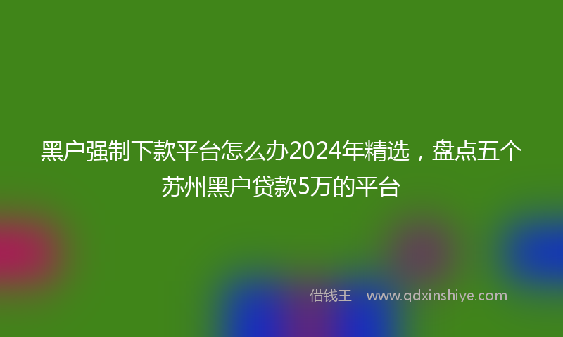 黑户强制下款平台怎么办2024年精选，盘点五个苏州黑户贷款5万的平台