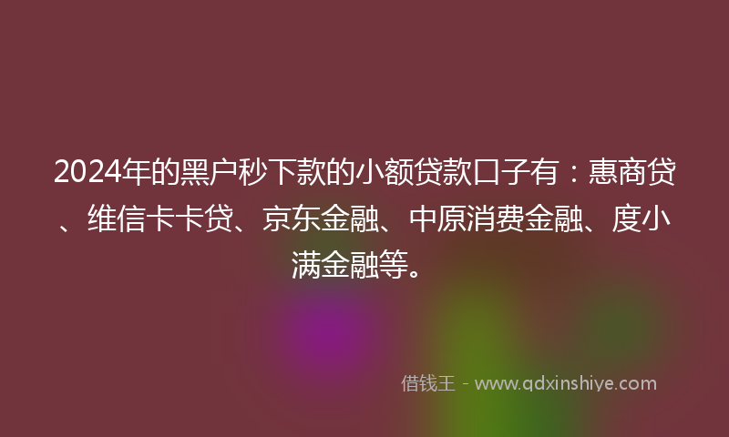 2024年的黑户秒下款的小额贷款口子有：惠商贷、维信卡卡贷、京东金融、中原消费金融、度小满金融等。
