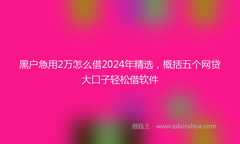 黑户急用2万怎么借2024年精选，概括五个网贷大口子轻松借软件