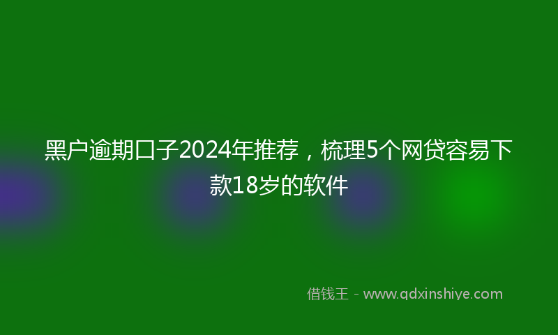 黑户逾期口子2024年推荐，梳理5个网贷容易下款18岁的软件