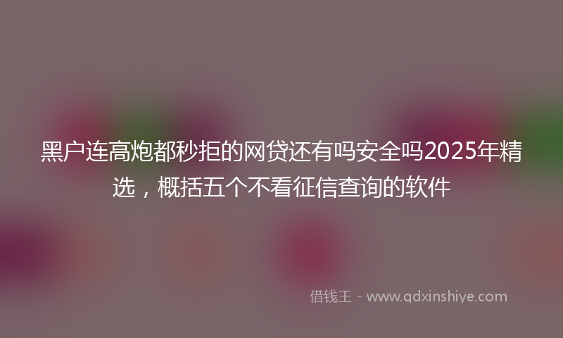 黑户连高炮都秒拒的网贷还有吗安全吗2025年精选，概括五个不看征信查询的软件