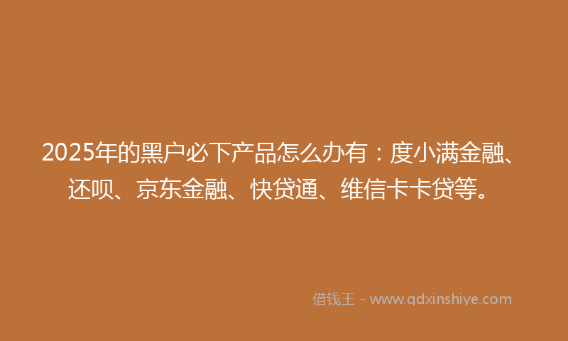 2025年的黑户必下产品怎么办有：度小满金融、还呗、京东金融、快贷通、维信卡卡贷等。